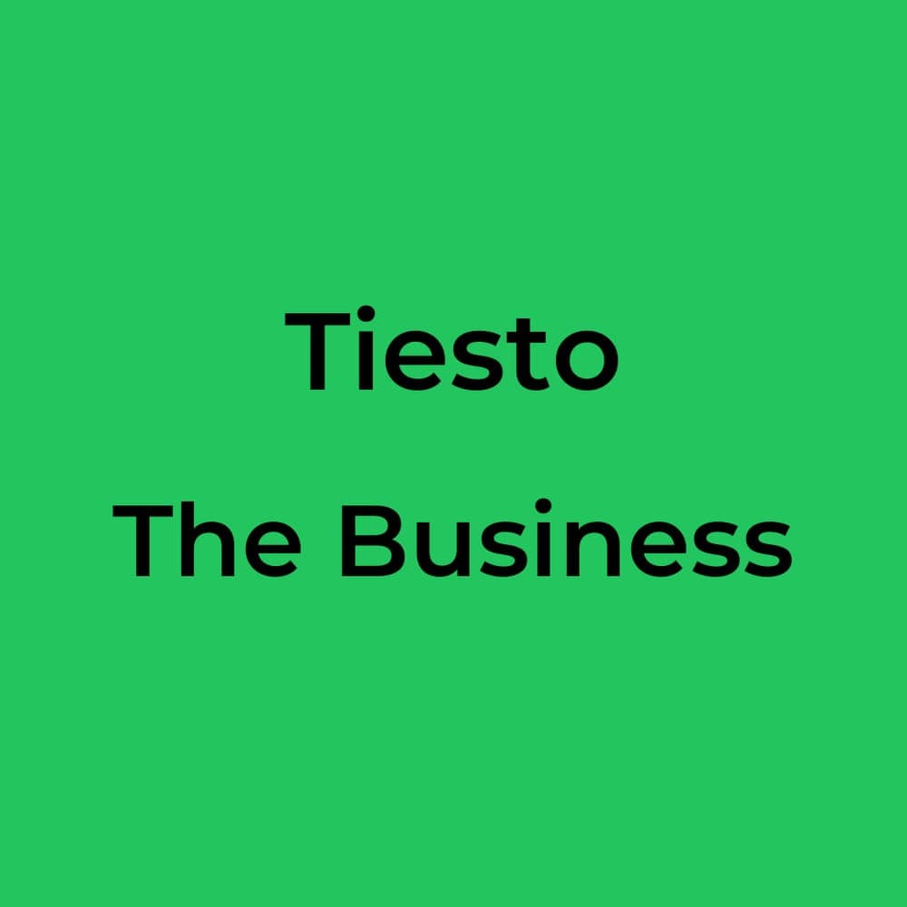 Tiesto - The Business