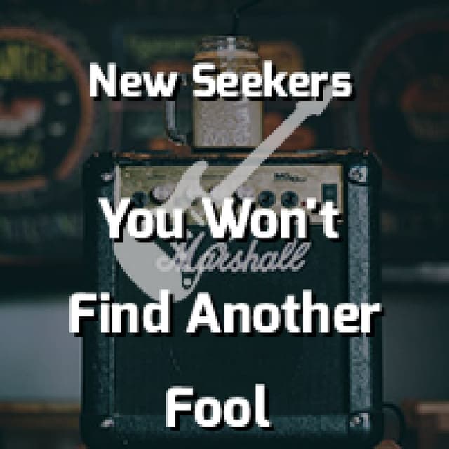 You Won't Find Another Fool Like Me