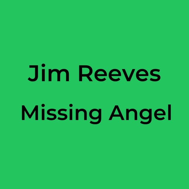 Missing Angel