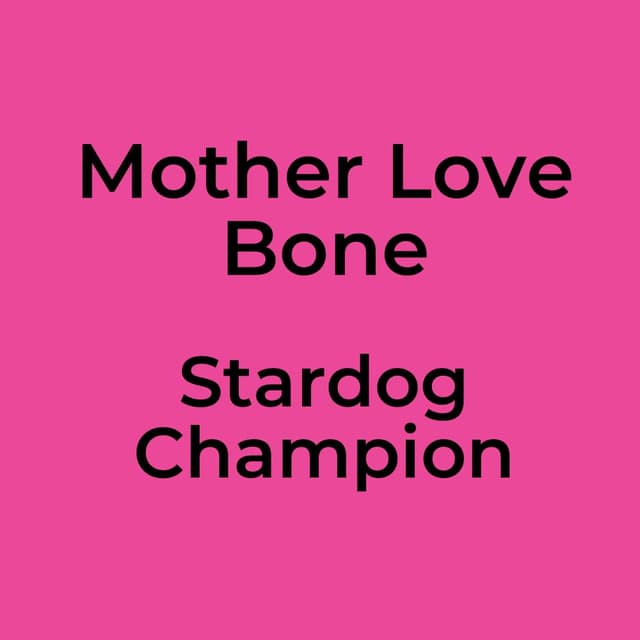 Stardog Champion