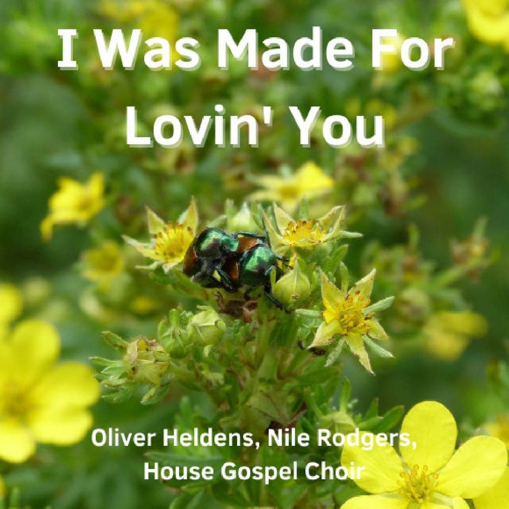 Oliver Heldens and Nile Rodgers - I Was Made For Lovin' You