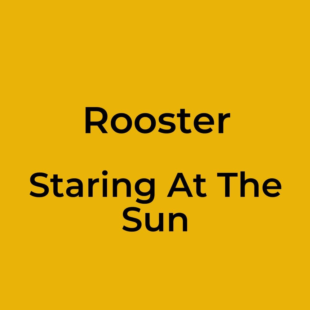 Rooster - Staring At The Sun