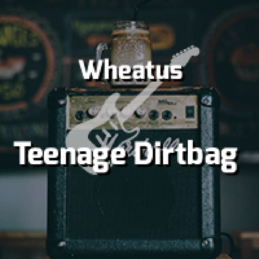 Wheatus - Teenage Dirtbag