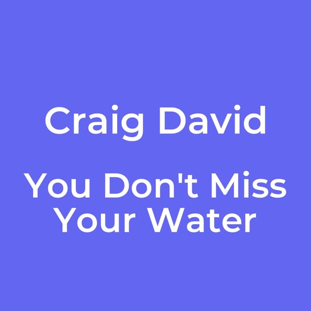 You Don't Miss Your Water