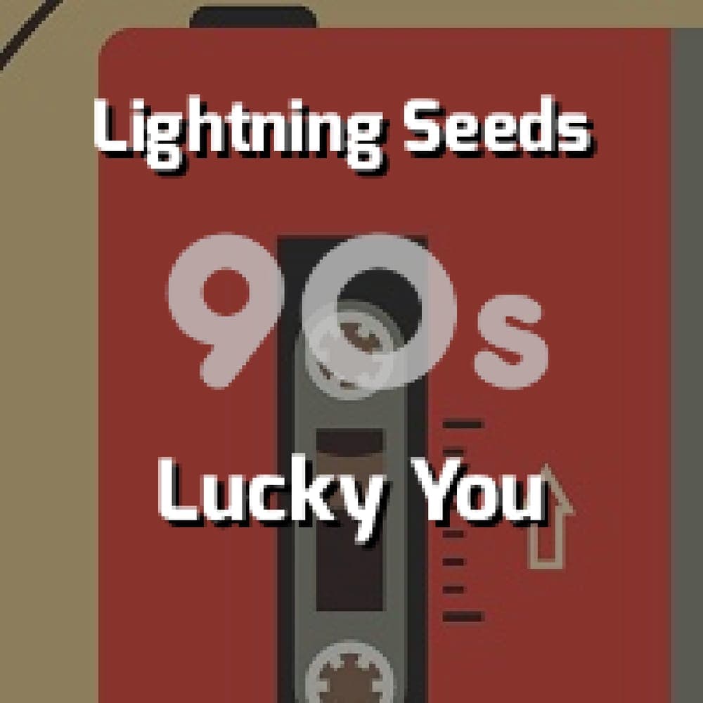 Lightning Seeds - Lucky You