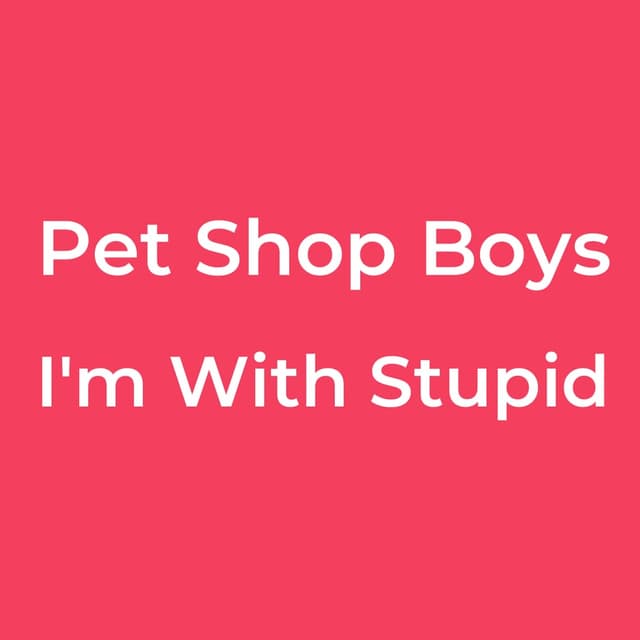 I'm With Stupid