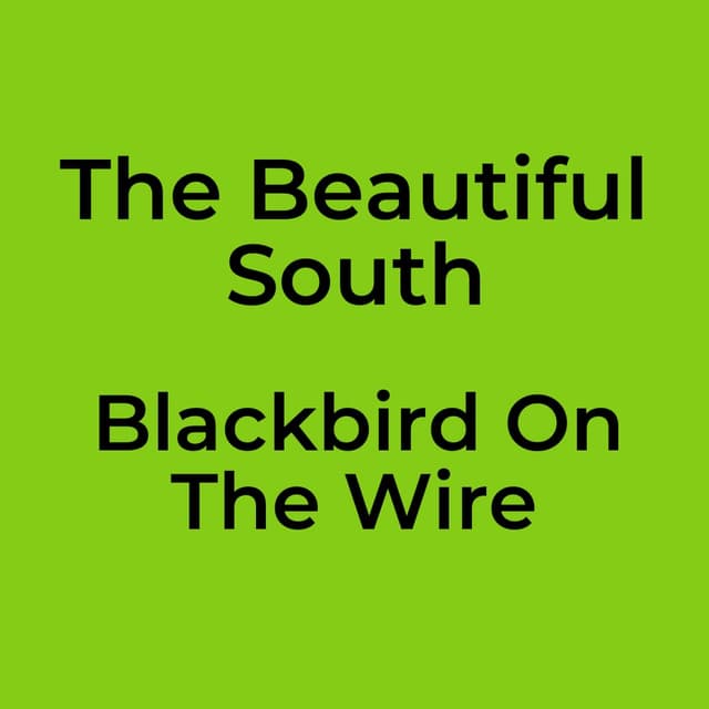 Blackbird On The Wire