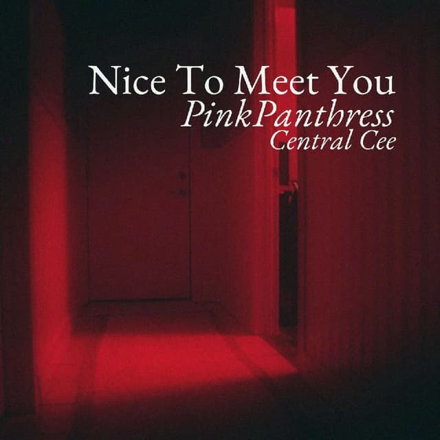 Nice To Meet You