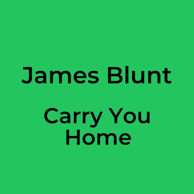 Carry You Home