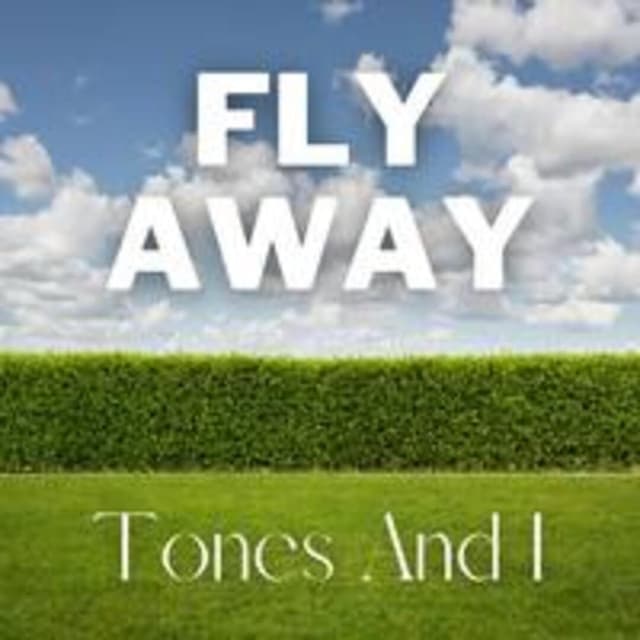 Fly Away