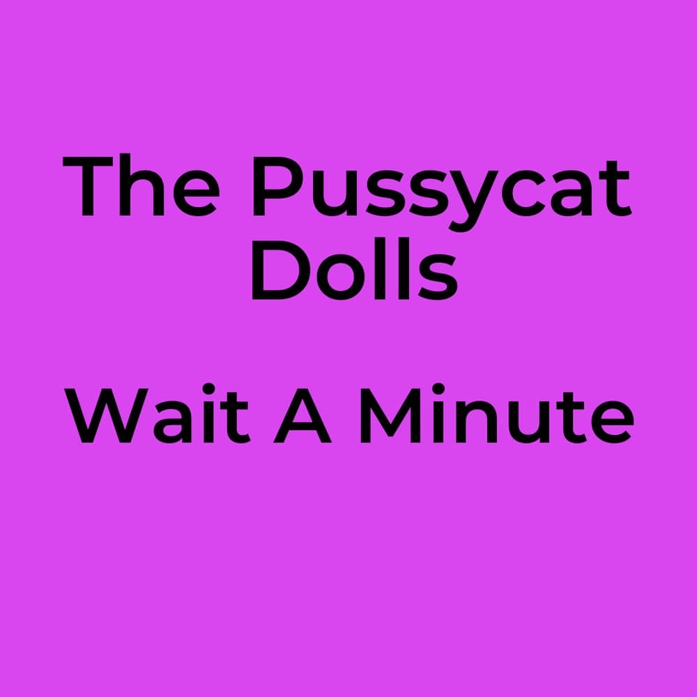 The Pussycat Dolls - Wait A Minute