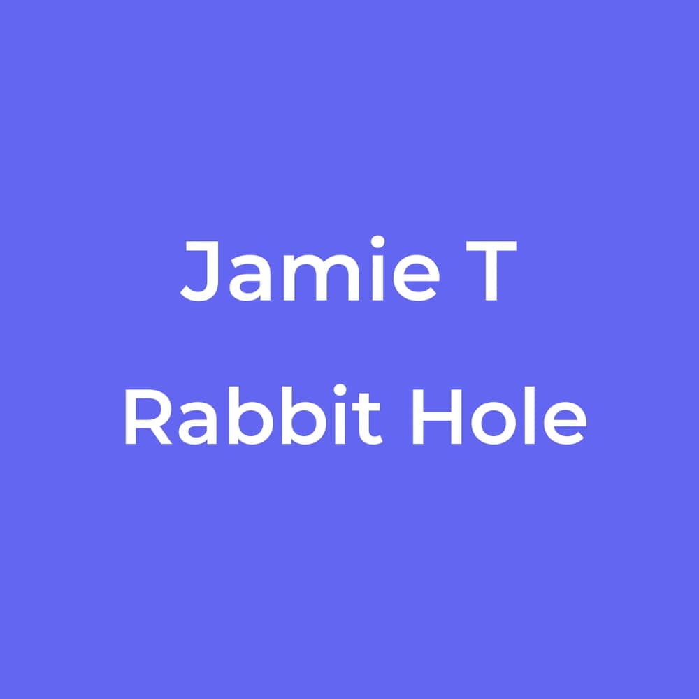 Jamie T - Rabbit Hole