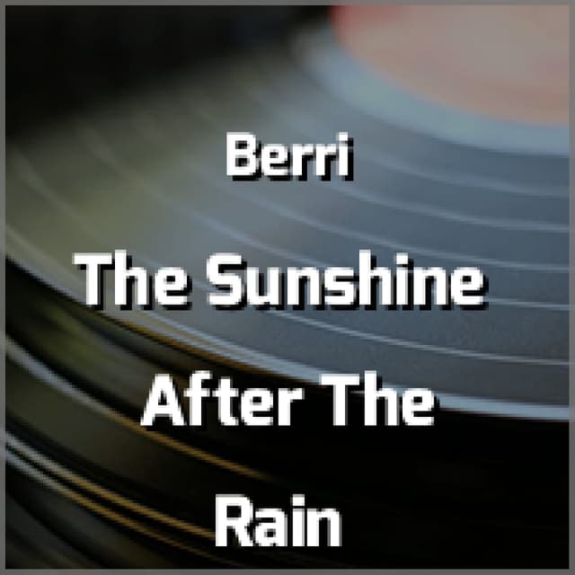 The Sunshine After The Rain