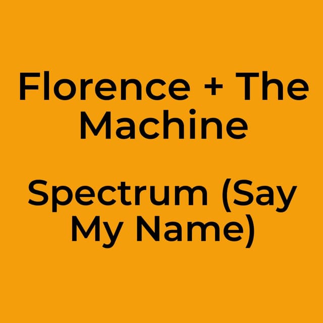 Spectrum (Say My Name)
