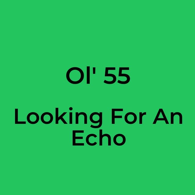 Looking For An Echo