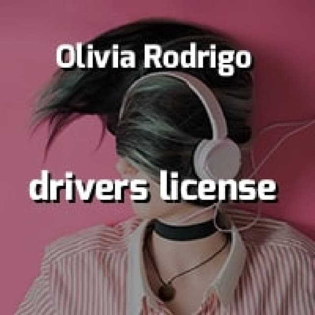 drivers license