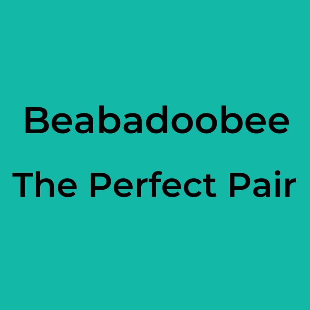 Beabadoobee - The Perfect Pair