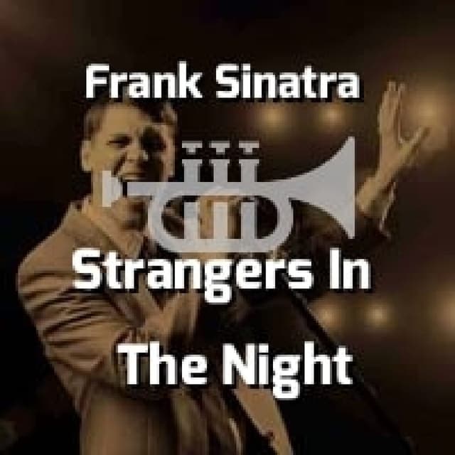 Strangers In The Night