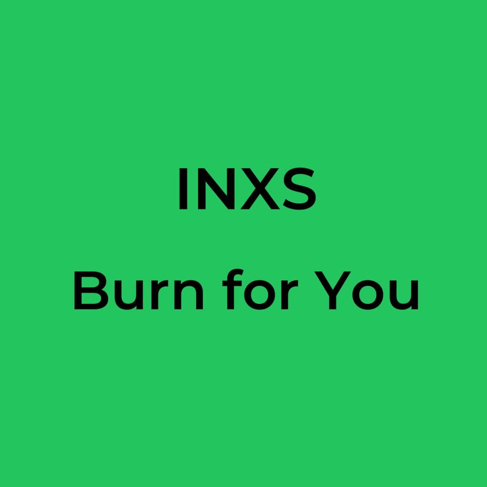 INXS - Burn for You