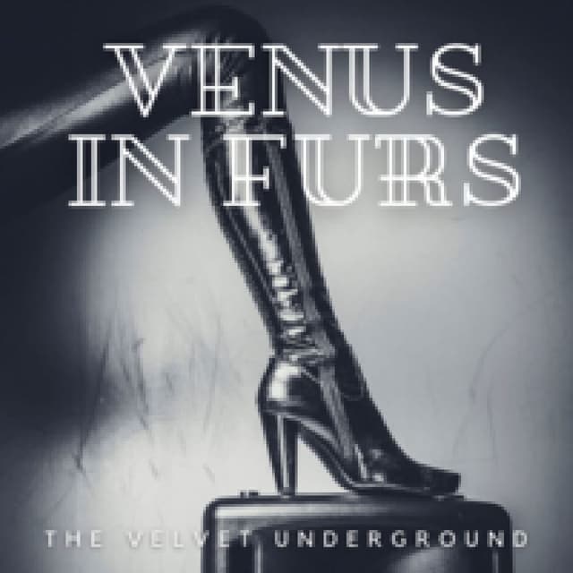 Venus In Furs