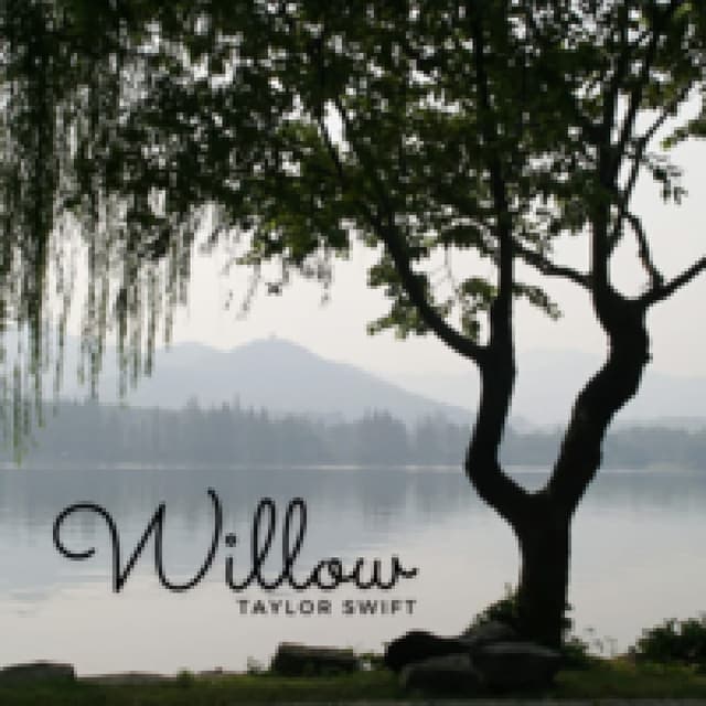 willow