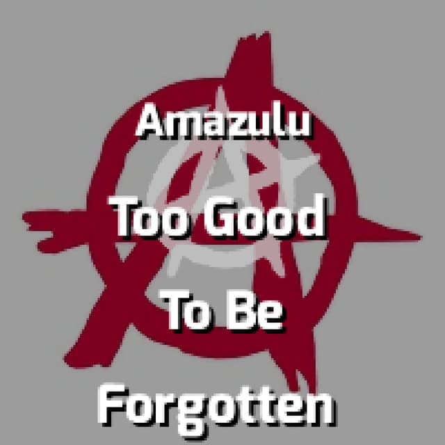 Too Good To Be Forgotten