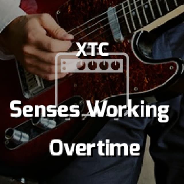 Senses Working Overtime