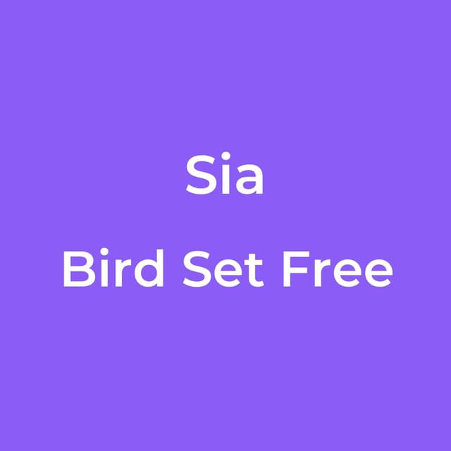 Bird Set Free
