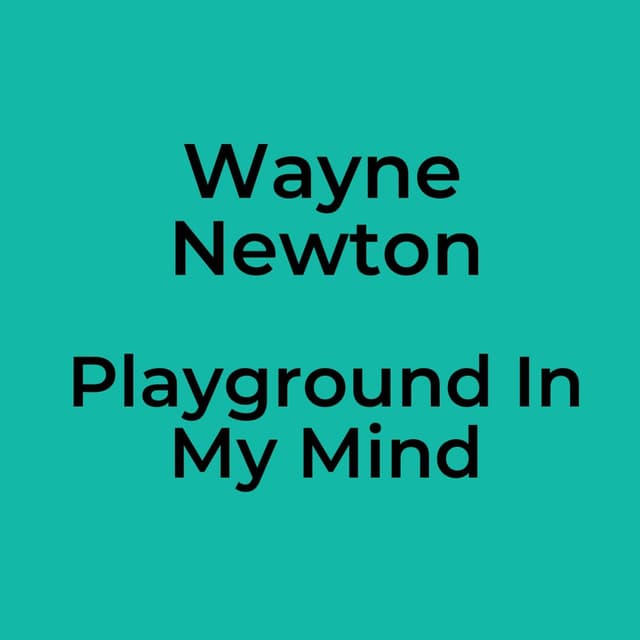 Playground In My Mind