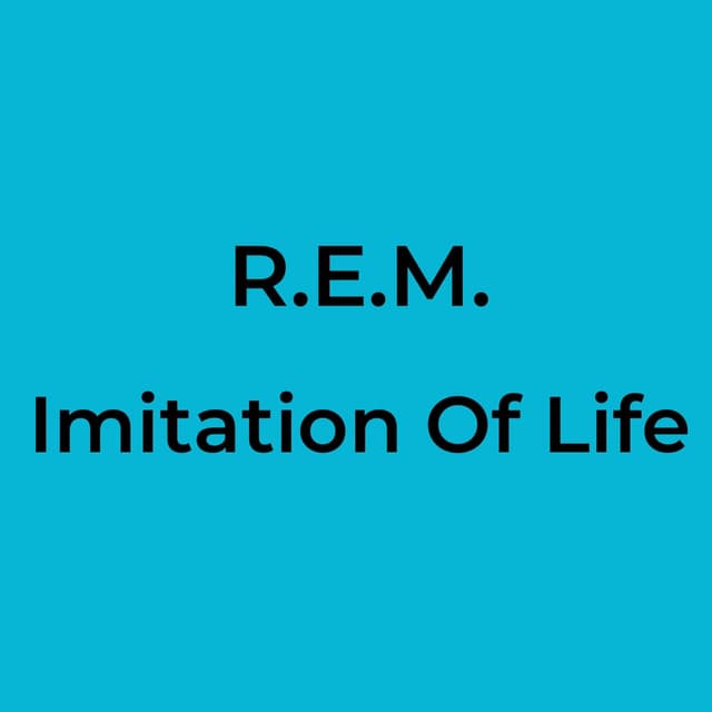 Imitation Of Life