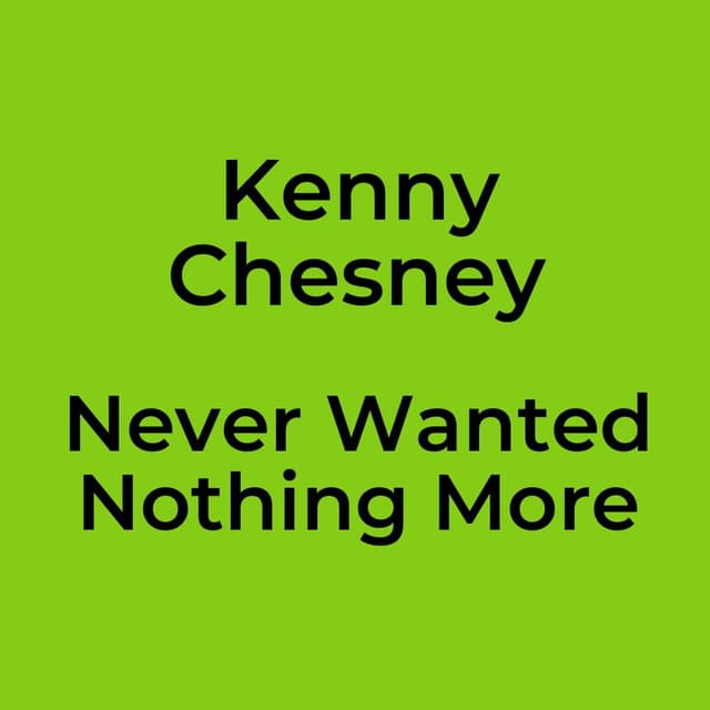 Never Wanted Nothing More