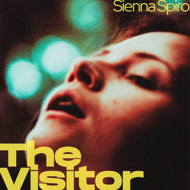 The Visitor