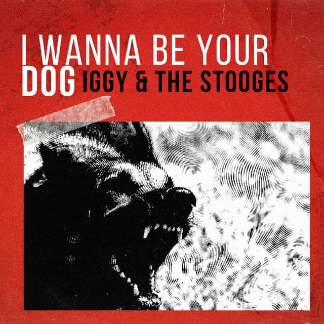 I Wanna Be Your Dog