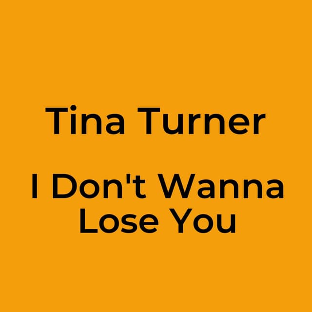 I Don't Wanna Lose You