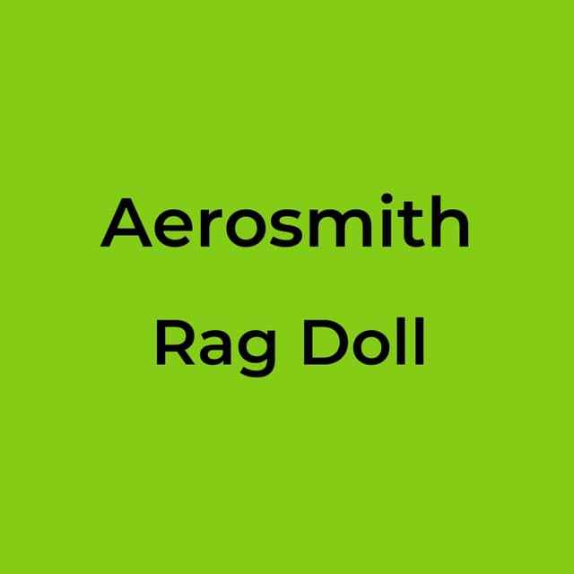 Rag Doll
