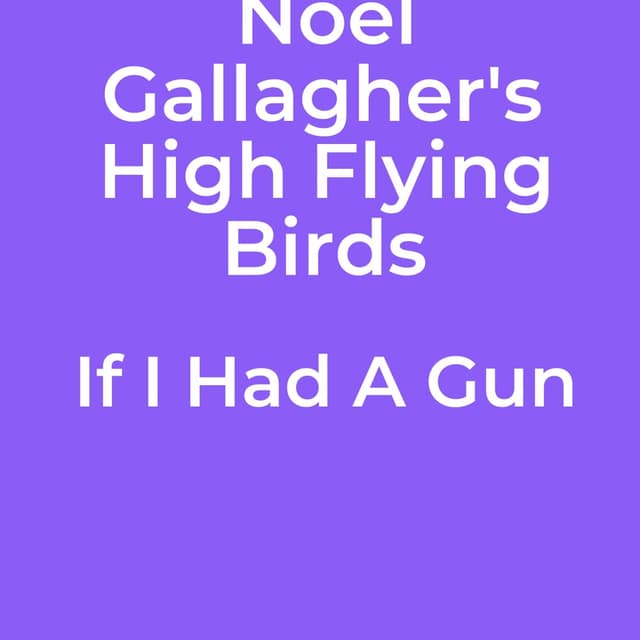 If I Had A Gun