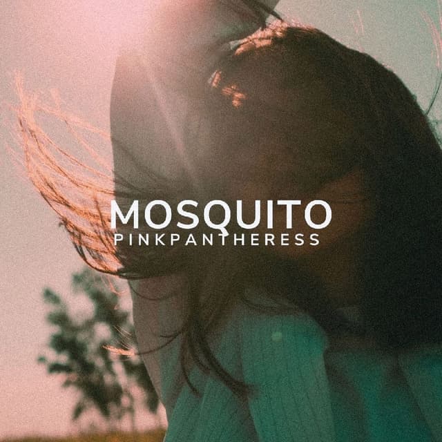 Mosquito