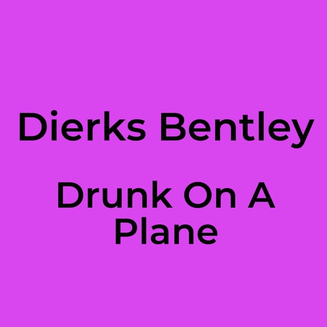 Drunk On A Plane