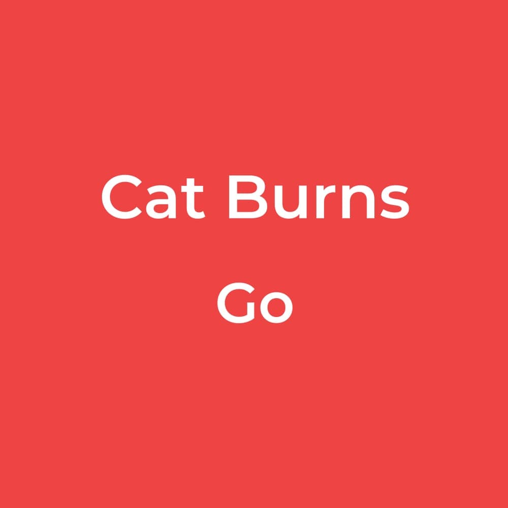 Cat Burns - Go