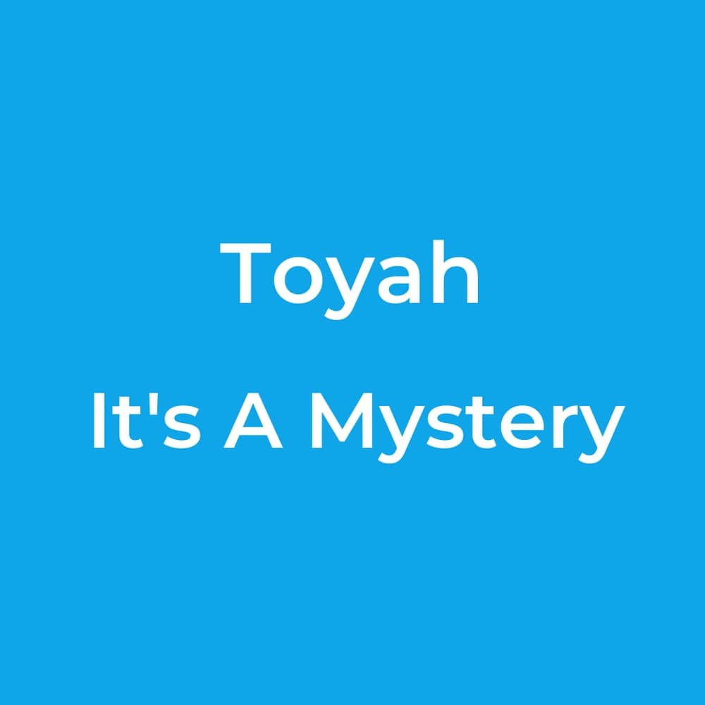 Toyah - It's A Mystery