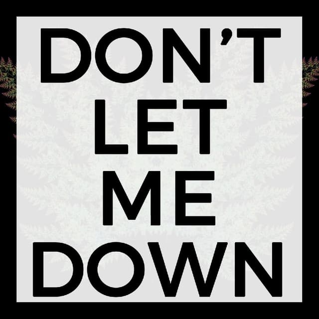 Don't Let Me Down