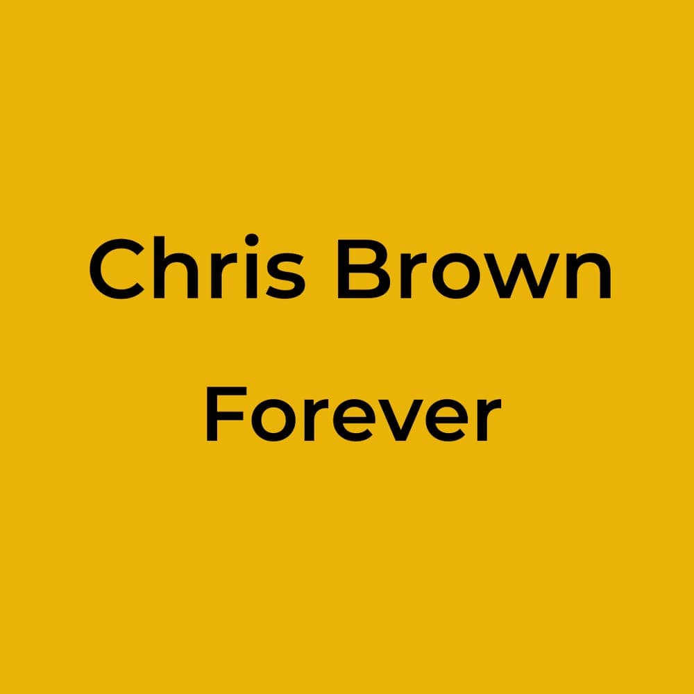 Chris Brown - Forever