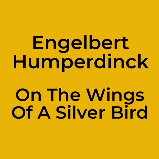 On The Wings Of A Silver Bird