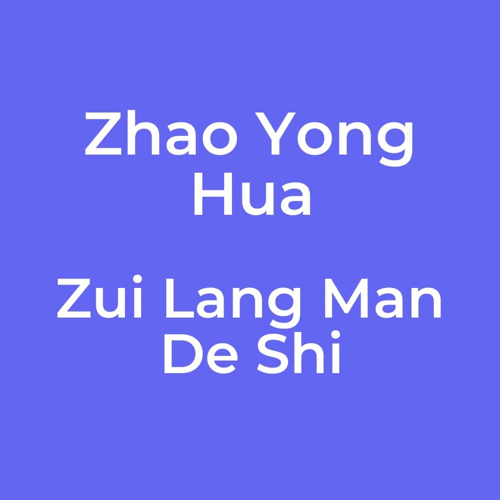 Zhao Yong Hua - Zui Lang Man De Shi