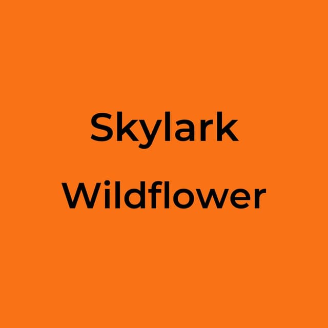 Wildflower