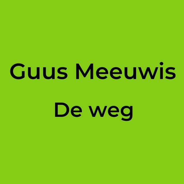 De weg