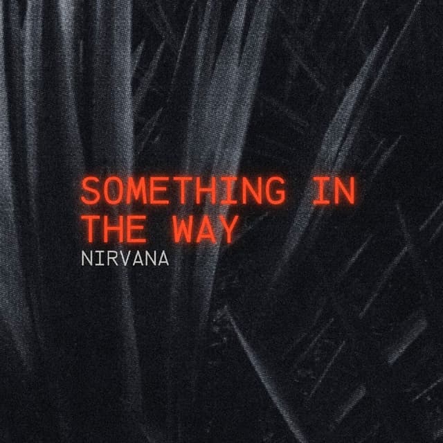 Something In The Way