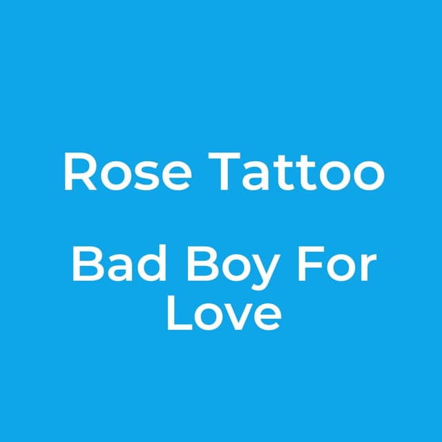 Bad Boy For Love
