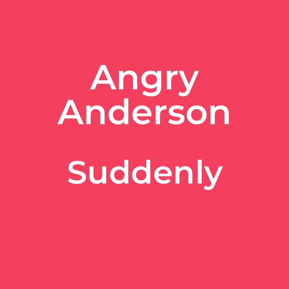 Angry Anderson - Suddenly