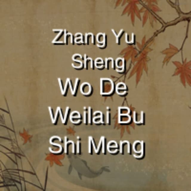 Wo De Weilai Bu Shi Meng